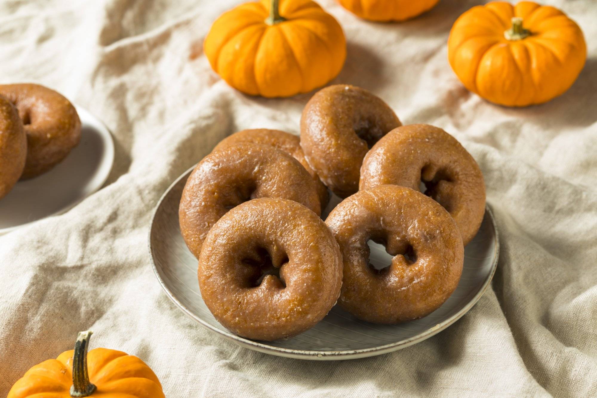 Homemade Pumpkin Spice Donuts